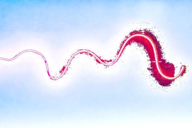 Helmut Raab: Flüchtendes Licht